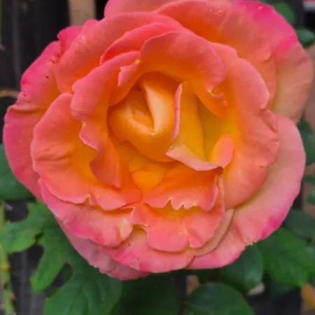 La Caparica Hébergement de vacances *