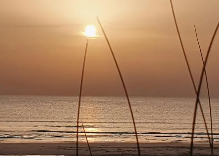 La Caparica 沙尔内卡