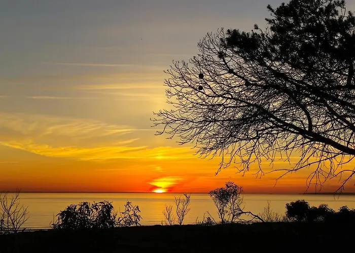 La Caparica 度假居 沙尔内卡