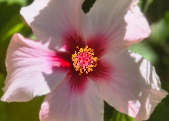 La Caparica 度假居 *