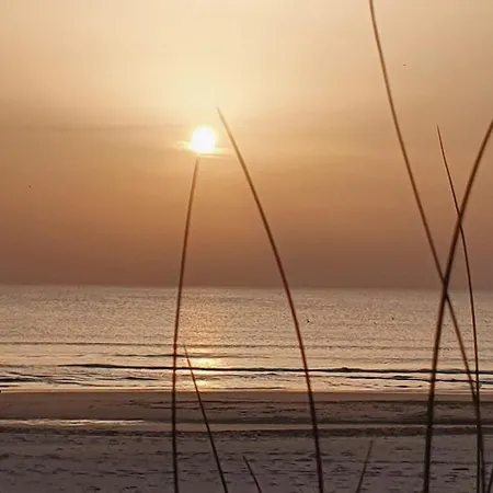 La Caparica Charneca (Setubal)