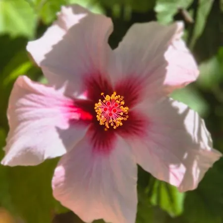 La Caparica Сasa de vacaciones *